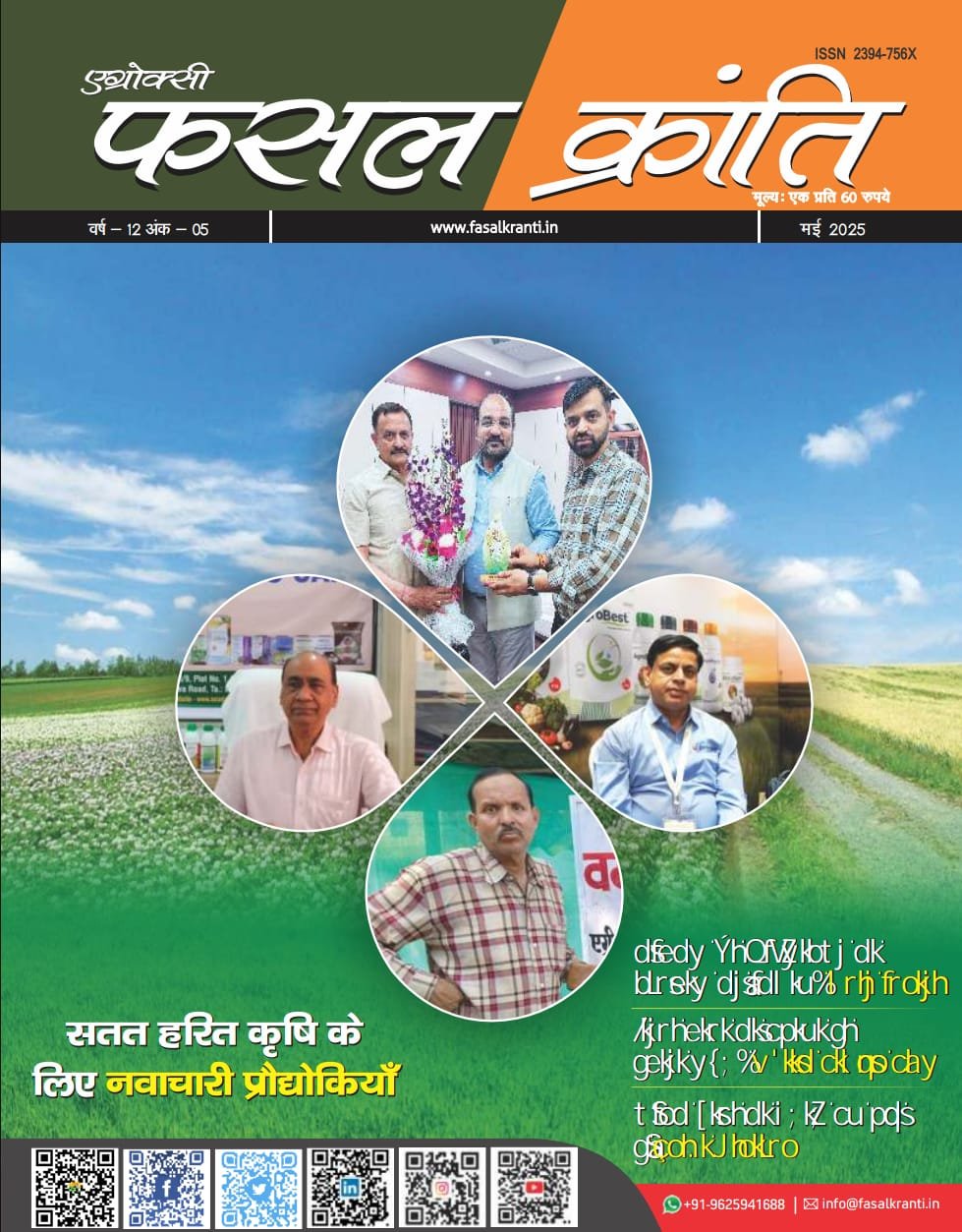 Hindi Magazine
